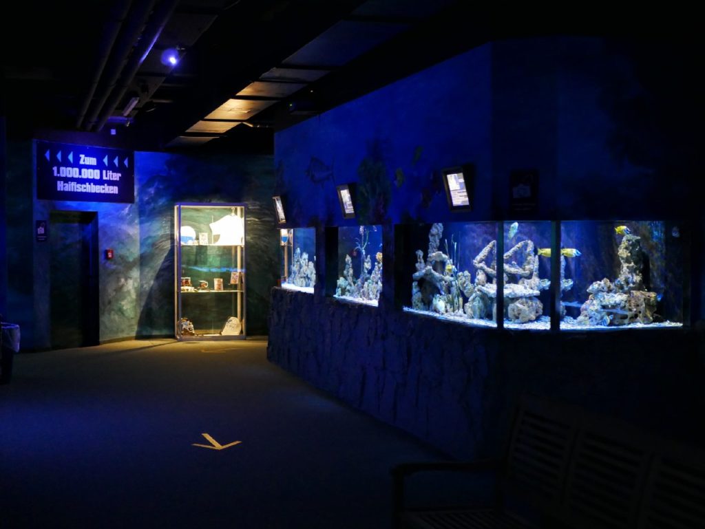 Erlebnispark Meeresaquarium Zella-Mehlis
