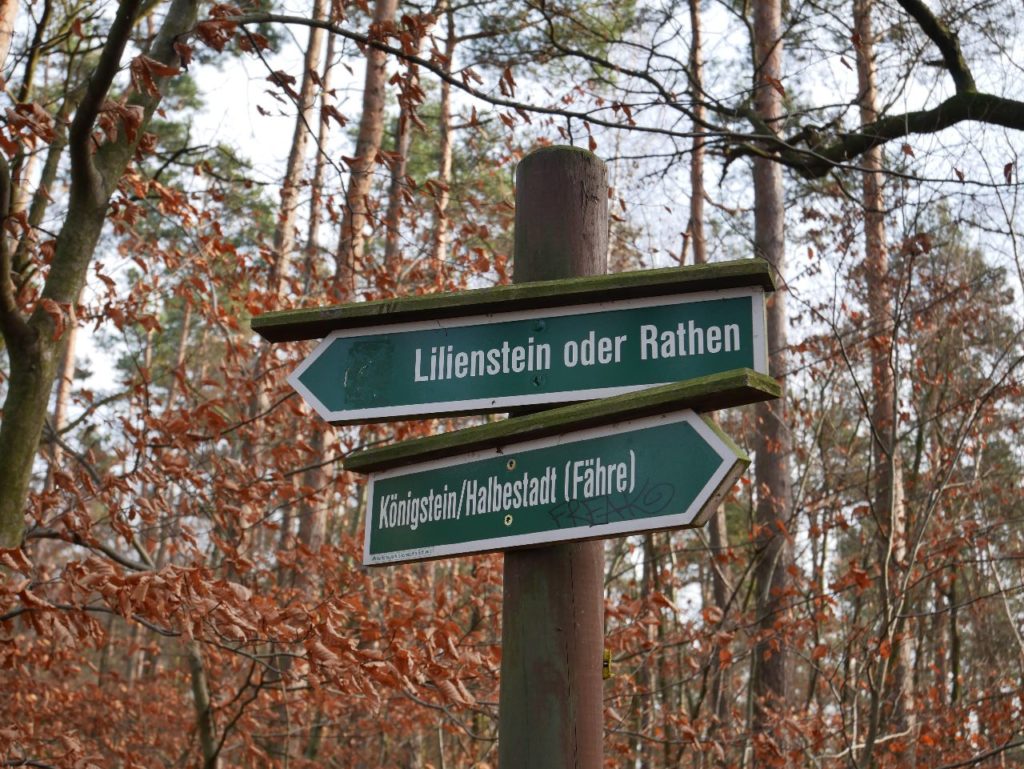 Lilienstein Wandern