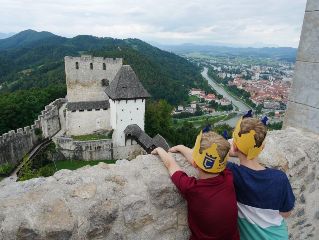 Alte Burg Celje