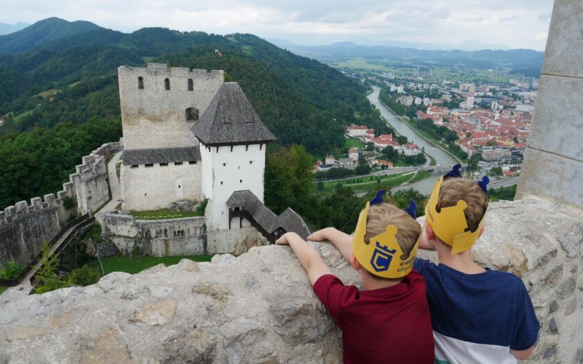 Alte Burg Celje