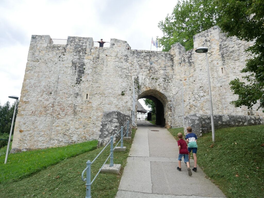 Alte Burg Celje