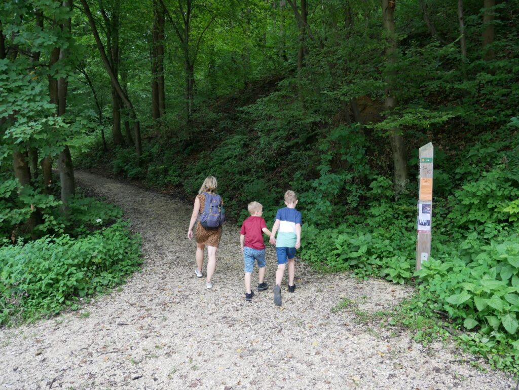 Wanderung Alte Burg Celje