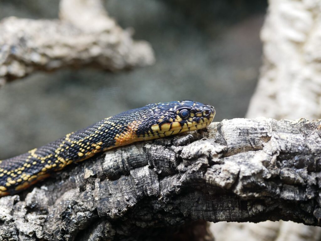 Klimahaus Bremerhaven