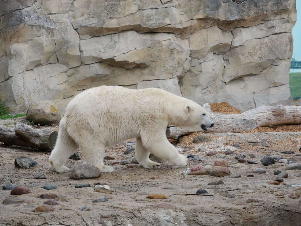 Zoo am Meer Bremerhaven