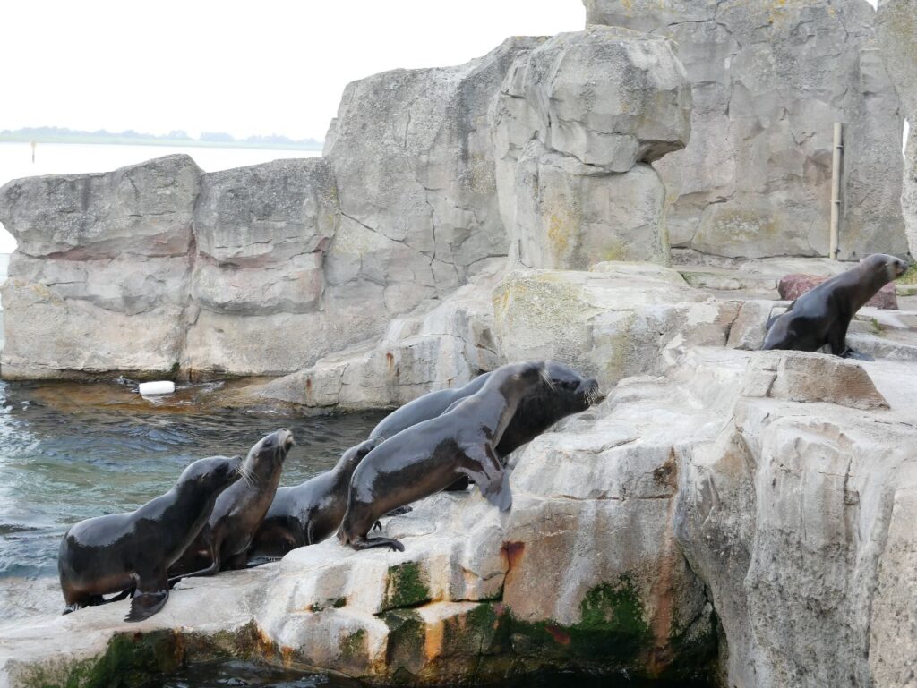 Zoo am Meer Bremerhaven