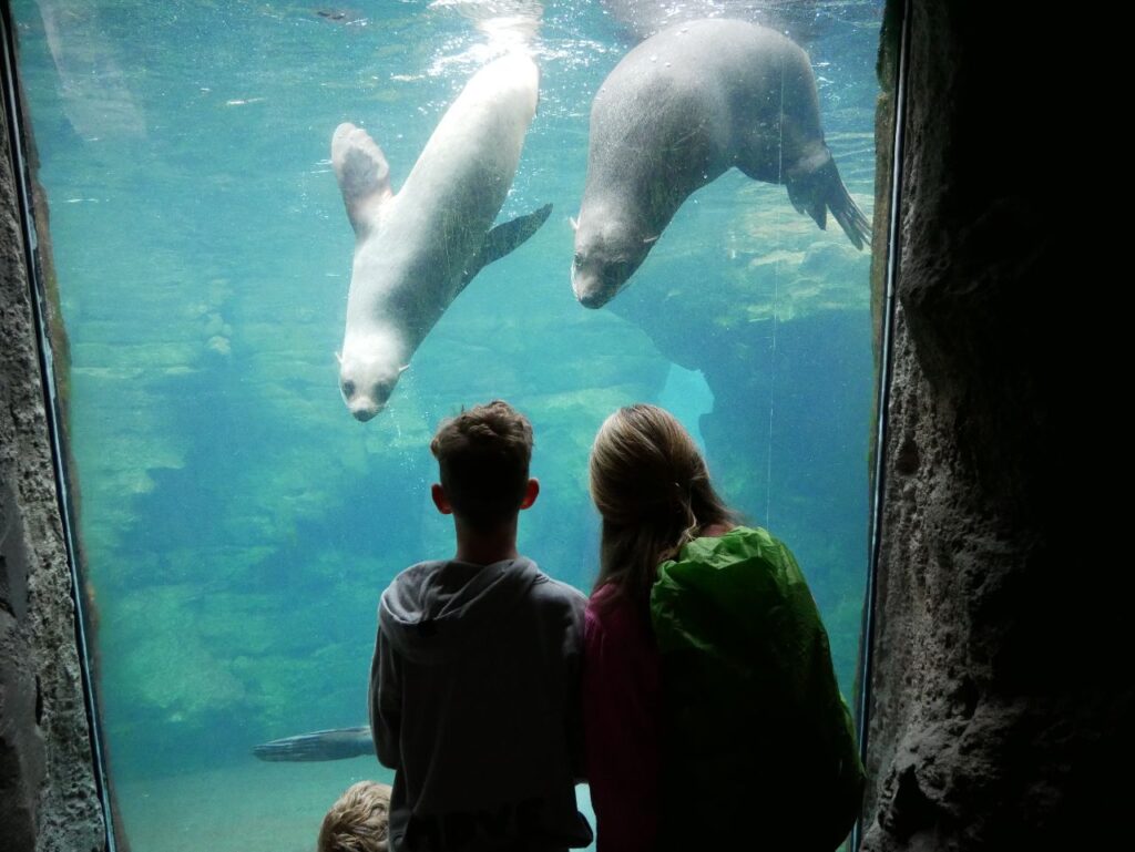 Zoo am Meer Bremerhaven