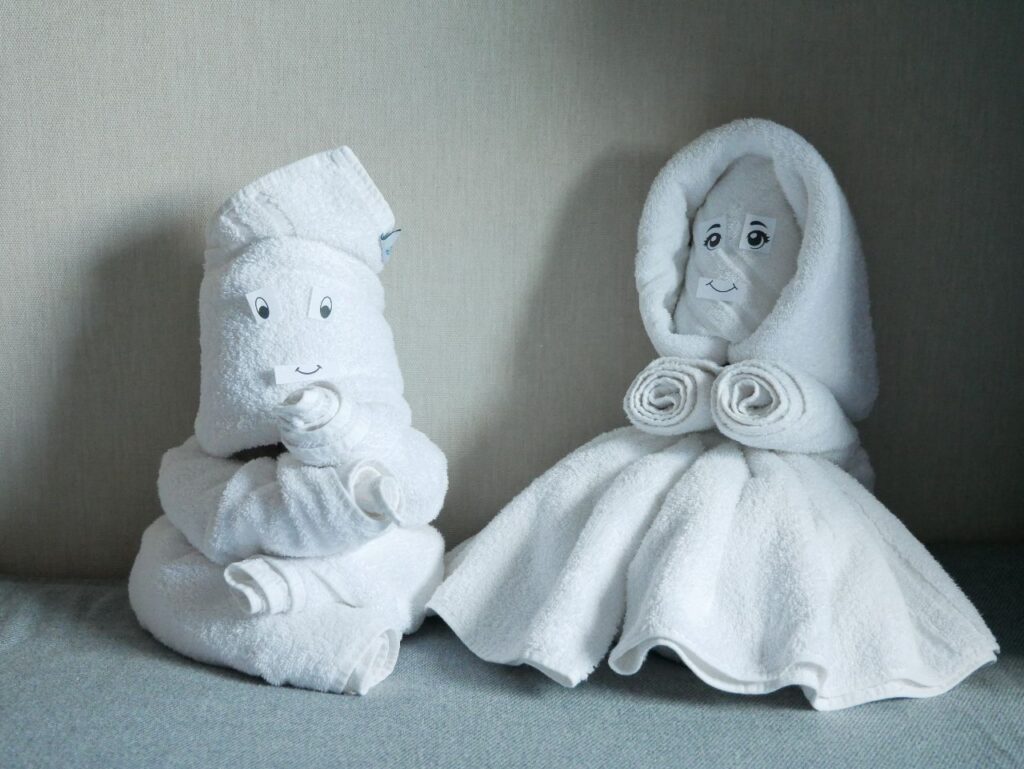 MS Princess SE-Tours