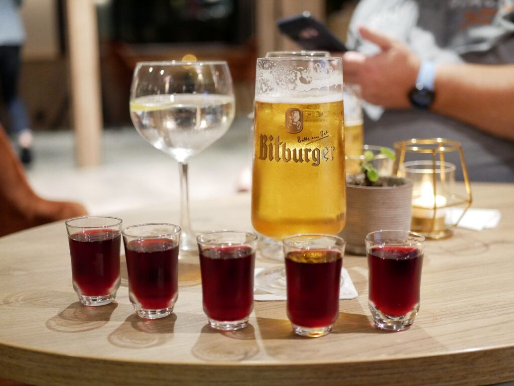 MS Princess SE-Tours Lounge