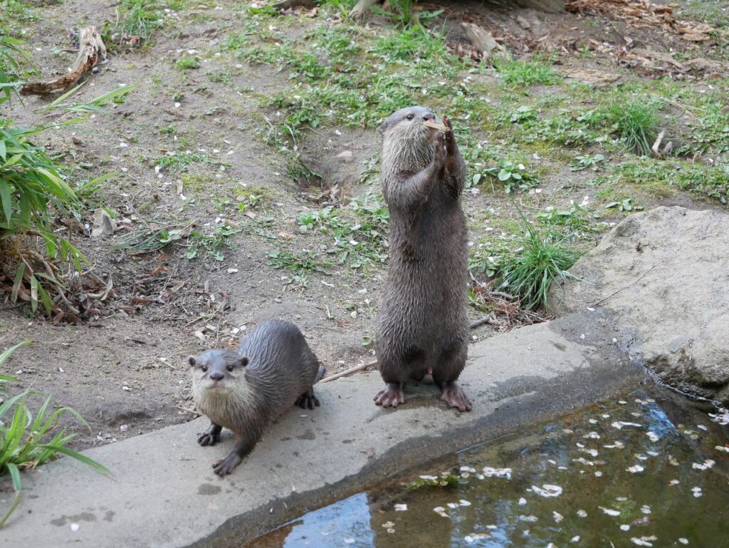 Zoo Braunschweig