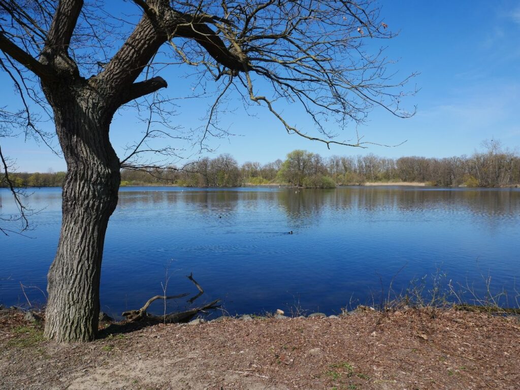 Naturschutzgebiet Riddagshausen