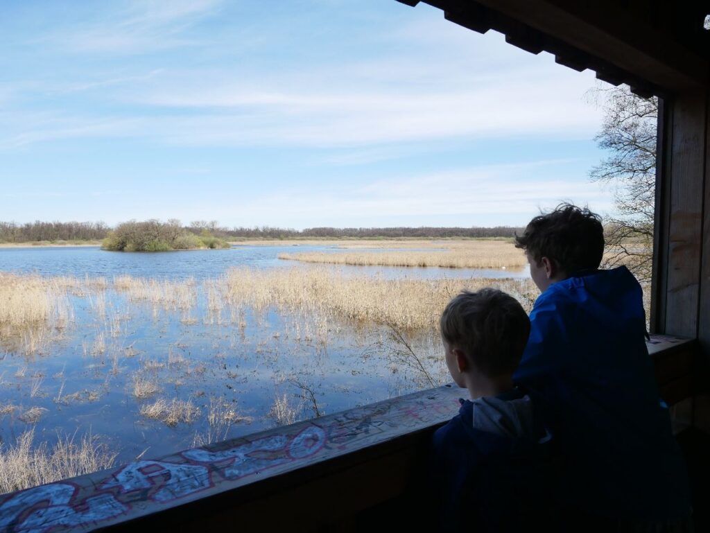 Naturschutzgebiet Riddagshausen