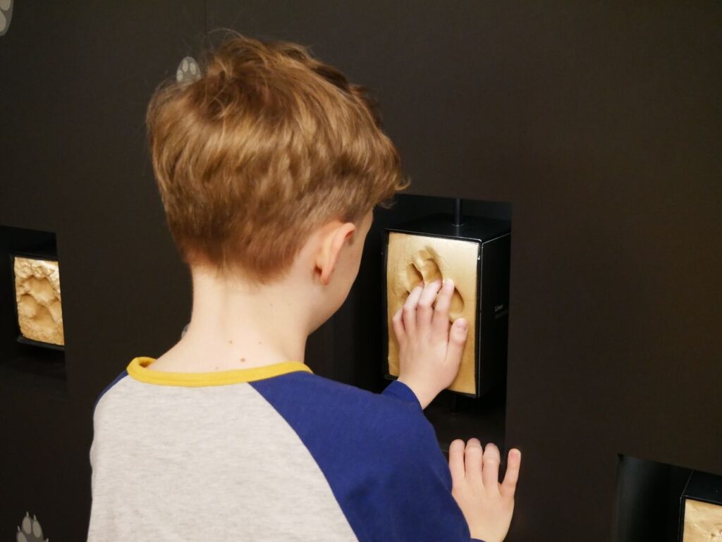 Staatliches Naturhistorisches Museum Braunschweig