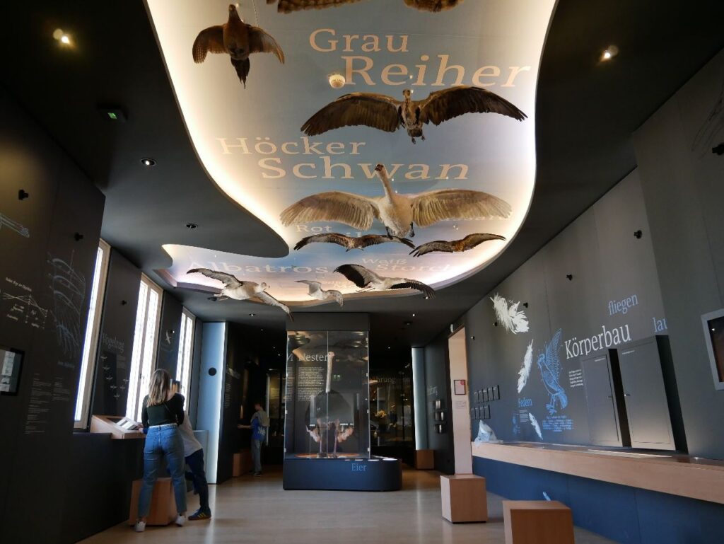 Staatliches Naturhistorisches Museum Braunschweig