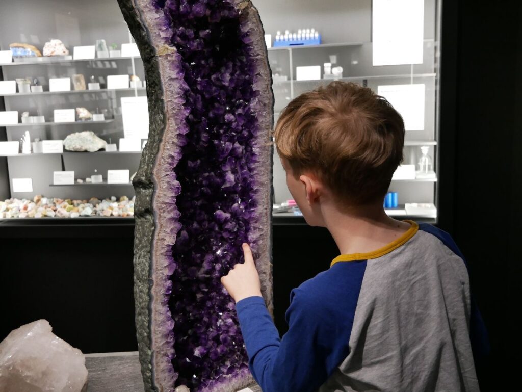 Staatliches Naturhistorisches Museum Braunschweig