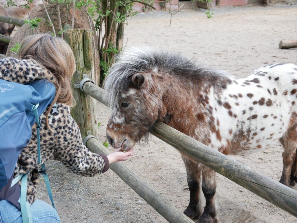Zoo Braunschweig
