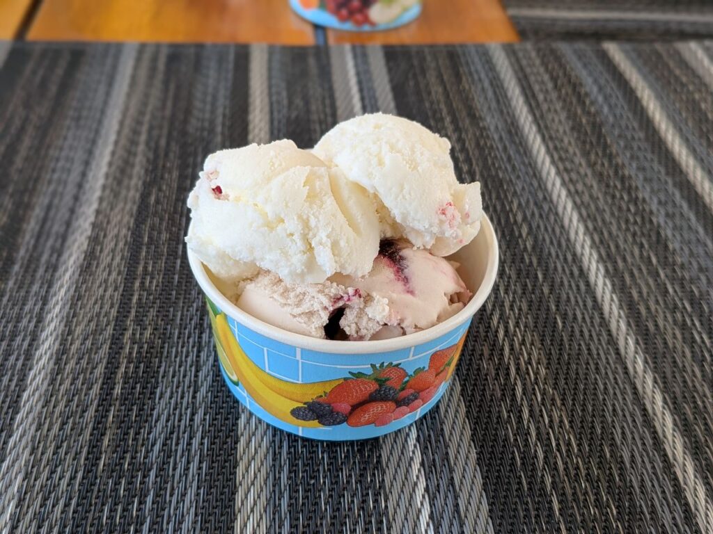 VASCO DA GAMA Eis