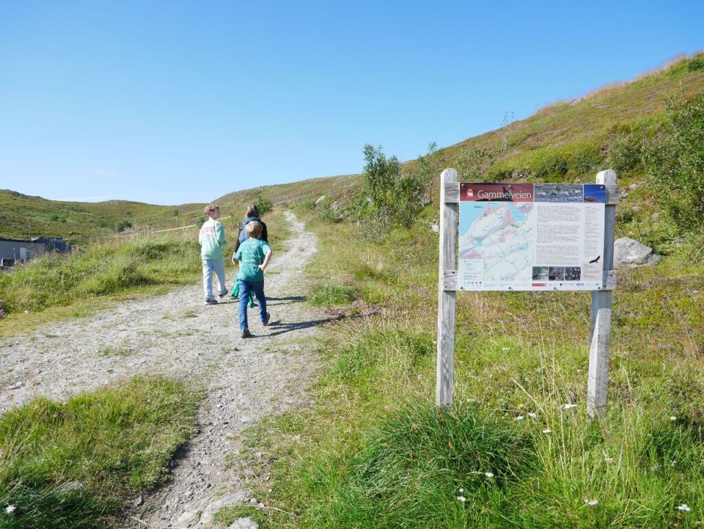 Hammerfest Salen