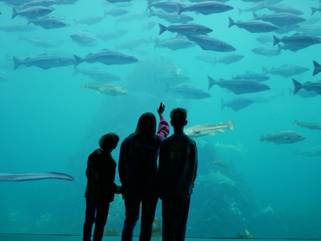 Atlantikpark Alesund