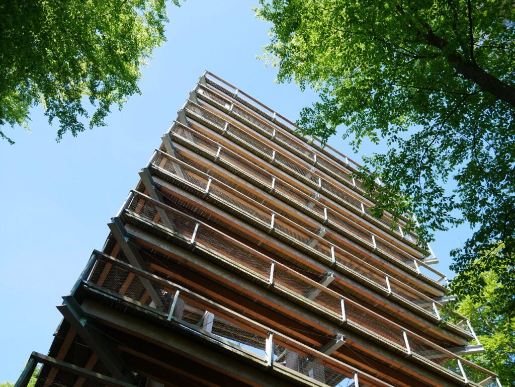 Baumwipfelpfad Usedom Heringsdorf