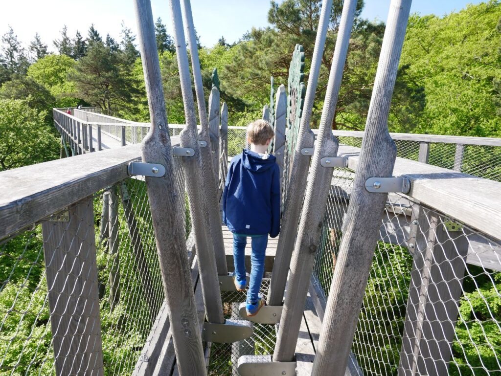 Baumwipfelpfad Usedom Heringsdorf