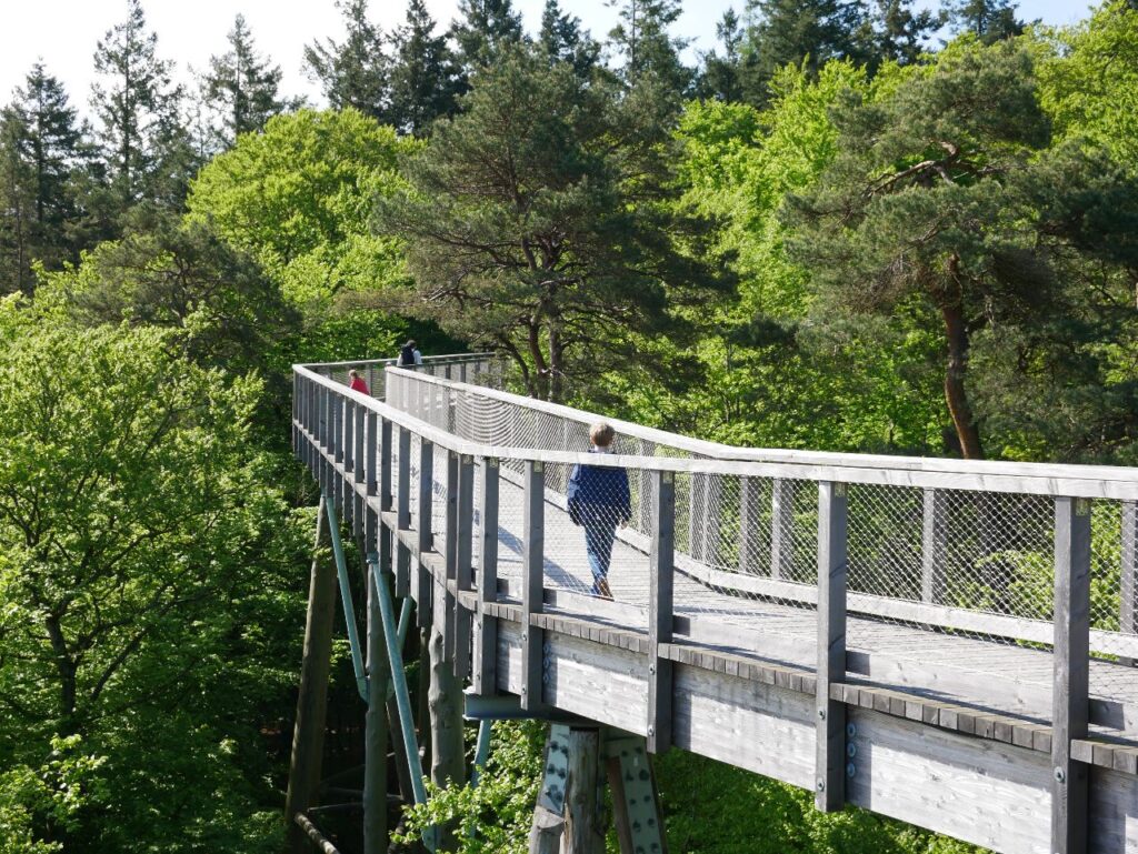 Baumwipfelpfad Usedom Heringsdorf